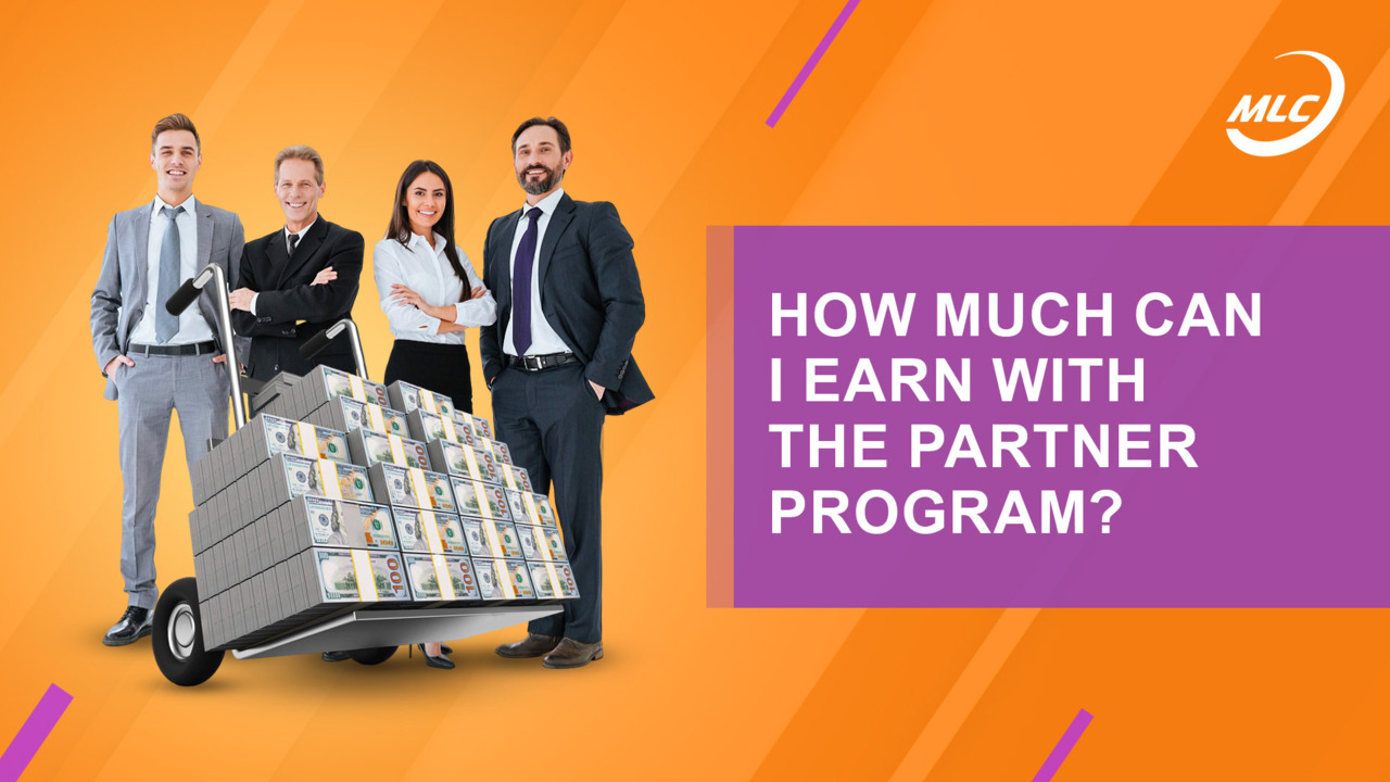 How much can I earn with the partner program?