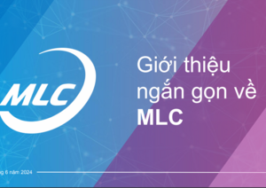 Trình bày MLC Vietnam