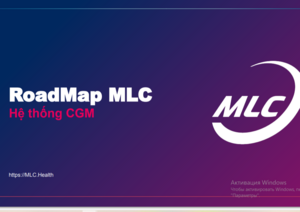 RoadMap МLC Vietnam