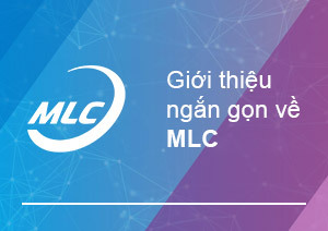 Trình bày MLC Vietnam